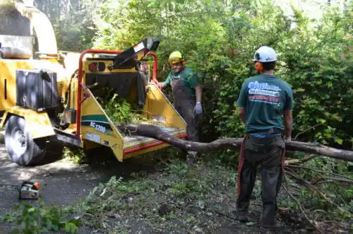 tree services Jerome